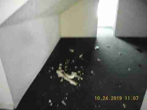 14290 Kentucky (21)_m.jpg